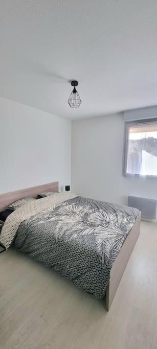 T2 Pool & Terrasse - Parking - Metro - Wifi Toulouse Exterior photo